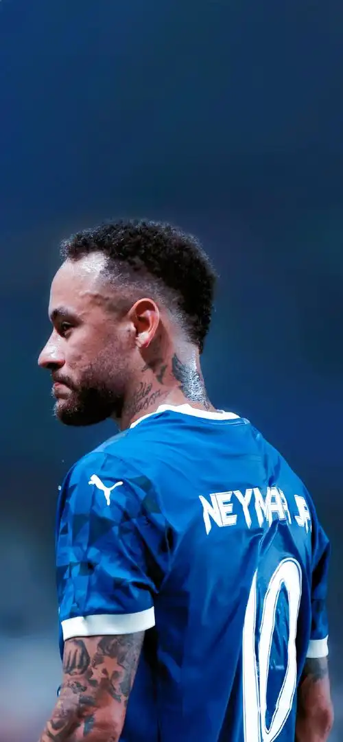 这些报价或 这些报价或