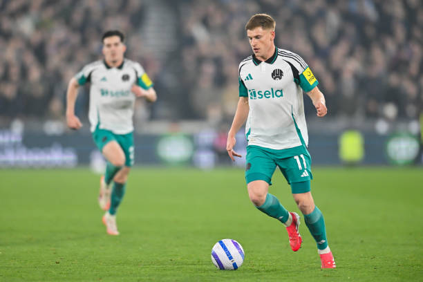 巴西网球有 巴西网球有