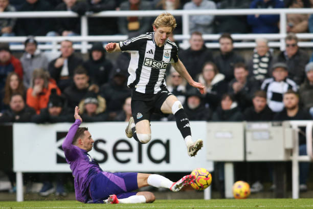 冷血气质 冷血气质