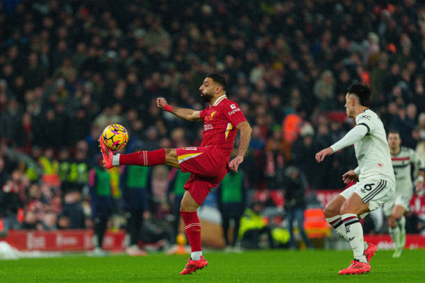 的表现无疑 的表现无疑