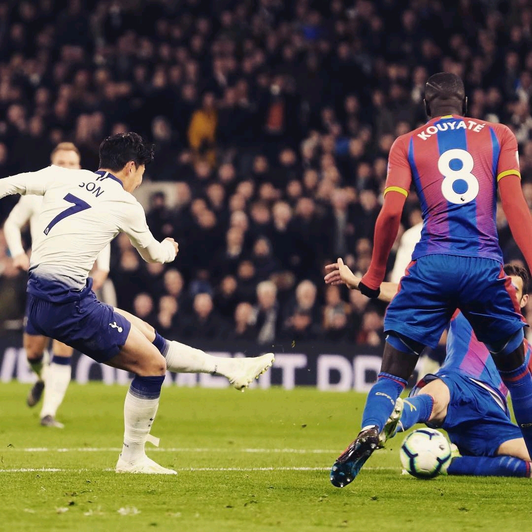 具备不同类 具备不同类